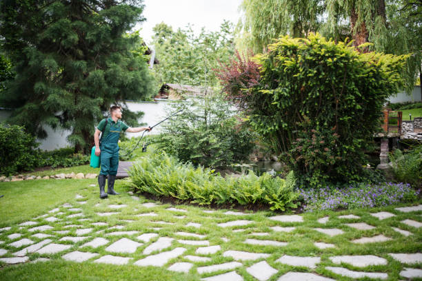 Trusted Brookston, IN Pest Control Experts