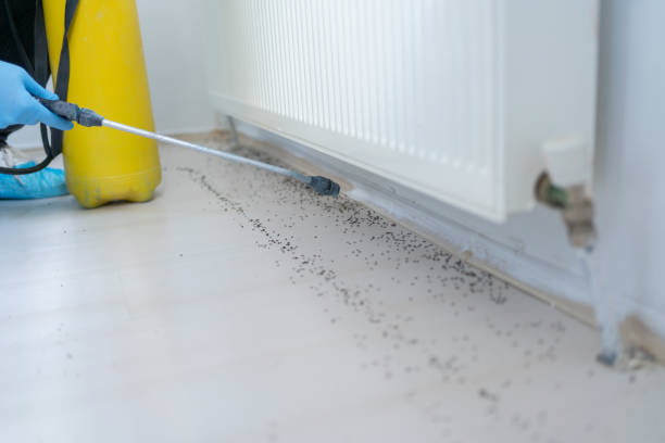 Best Local Pest Control Services  in Brookston, IN