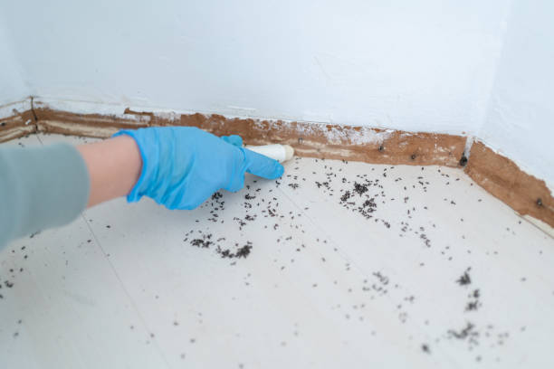 Best Commercial Pest Control Services  in Brookston, IN