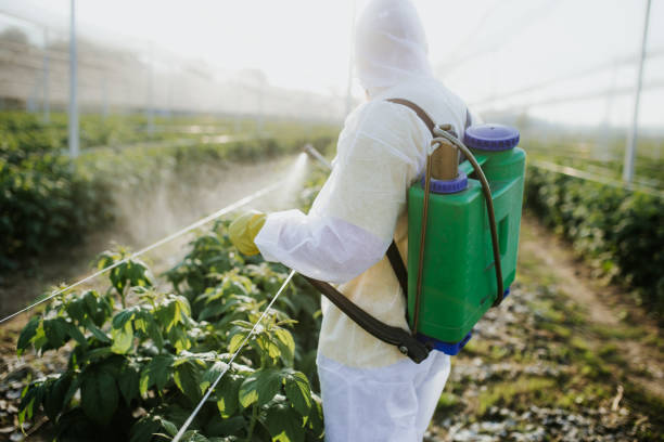 Best Pest Prevention Services  in Brookston, IN